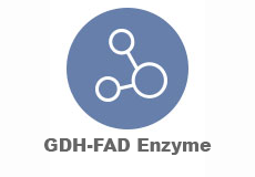 GDH-FAD Enzyme
